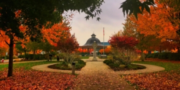 Fall Colours in Maple Ridge