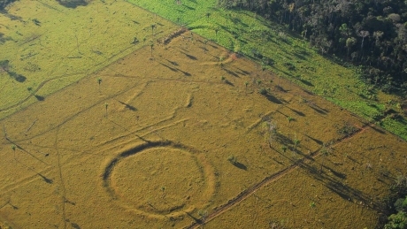 Mysterious geoglyphs discovered in Amazon rainforest
