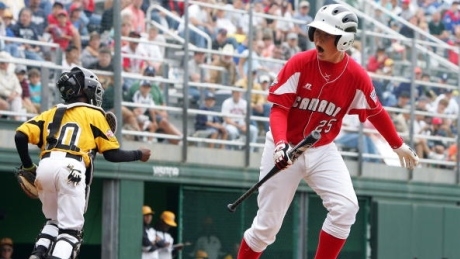 CBC Sports to showcase Canada’s Little League Baseball