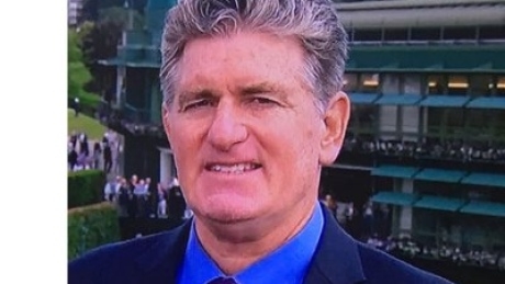 Fired for ‘gorilla’ remark, tennis commentator sues ESPN