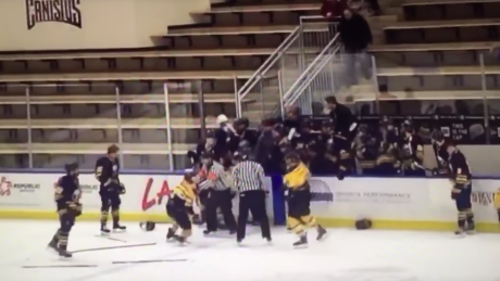 Former NHL enforcer suspended as youth coach following brawl