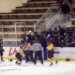 Former NHL enforcer suspended as youth coach following brawl