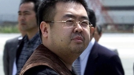 V for venom: 6 questions about nerve agent used in Kim Jong-nam death