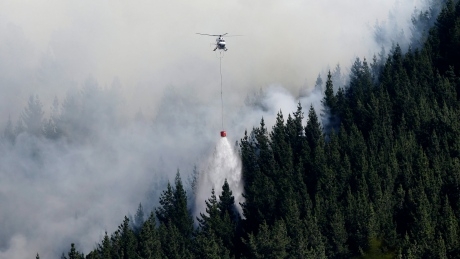 New Zealand crews halt advance of wildfire on homes