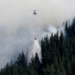 New Zealand crews halt advance of wildfire on homes