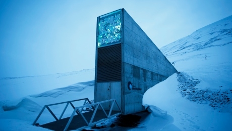 ‘Doomsday’ seed vault receives 50,000 new samples