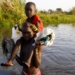 In famine-ravaged South Sudan, people eat weeds and water lilies to survive