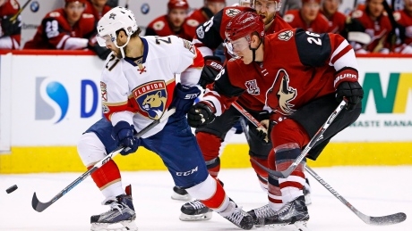 Flames acquire defenceman Michael Stone from Coyotes