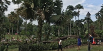 One person killed in accident at Canada 150 event in Singapore