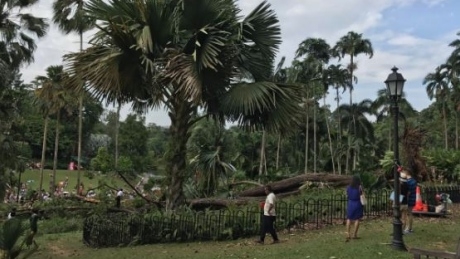 One person killed in accident at Canada 150 event in Singapore