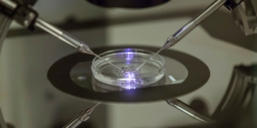 Women in failed fertility therapy possibly at higher risk of heart issues years later