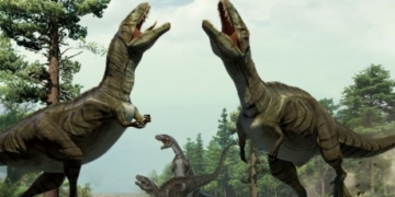 New categories of dinosaur family tree proposed by scientists