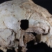 Archeologists find 400,000-year-old cranium fossil related to Neanderthals