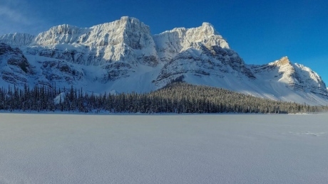 ‘No tracks leading out’: Missing snowshoers feared dead in avalanche near Lake Louise