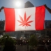 Marijuana could be legal by Canada Day 2018