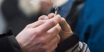 UBC researchers discover marijuana flavour genes, aim to create standards for taste