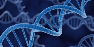 How artificial life spawned a billion-dollar industry