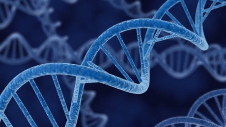 How artificial life spawned a billion-dollar industry