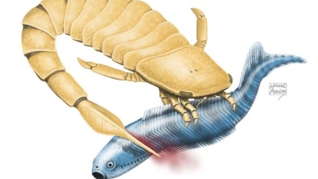 Giant sea scorpions used serrated tail spines to slay prey, Edmonton study finds