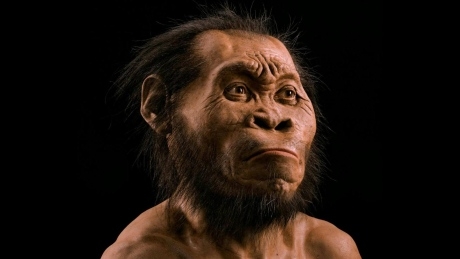 Homo naledi species discovery raises fresh questions about evolution