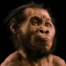 Homo naledi species discovery raises fresh questions about evolution