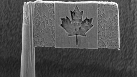 ‘O Canada’: Researcher mounts microscopic flag on penny to celebrate 150 years