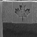 ‘O Canada’: Researcher mounts microscopic flag on penny to celebrate 150 years