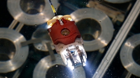 Swimming robot to study damage at Japan’s Fukushima nuclear plant