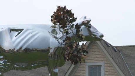 Bold cow sculpture ‘scares the children,’ local residents say