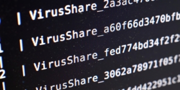 Why we keeping falling for online phishing scams and downloading viruses