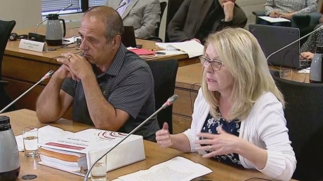 Air Transat passengers describe ‘deplorable’ treatment as hearing begins