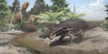 This newly discovered armoured dinosaur had to hide from bigger, meaner dinos