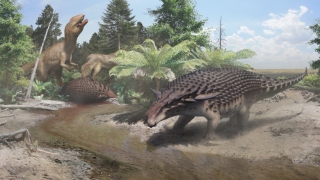 This newly discovered armoured dinosaur had to hide from bigger, meaner dinos