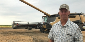 Looming hay shortage could shut down smaller cattle operations, says Sask. agriculture association