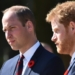 William, Harry talk about ‘long, lonely walk’ at Diana’s funeral