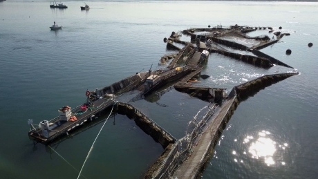 Collapsed fish farm that released thousands of Atlantic salmon had structural problems last month