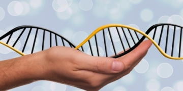 Scientists alter genes of human embryo to correct disease-causing mutation