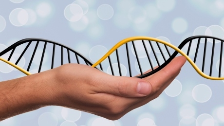 Scientists alter genes of human embryo to correct disease-causing mutation