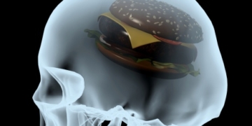 Investigating obesity: It’s not just about eating too much