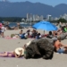 B.C. heat wave causes record-breaking power consumption