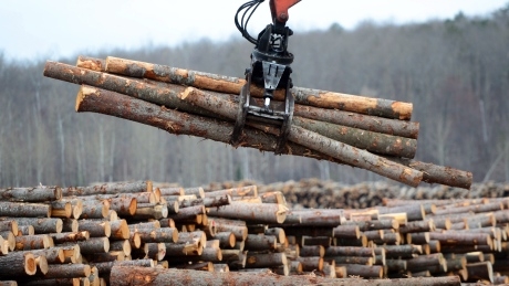 The big holdup in a Canada-U.S. lumber deal? Russian, German, Brazilian wood