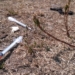 ‘It’s terrifying’: Olympic Village residents scared by discarded needles