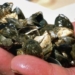 Water advocates say feds need to do more to prevent invasive mussels from moving into B.C.