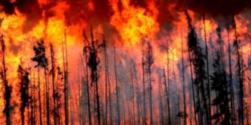 B.C. farmers and ranchers devastated by wildfires to get $20M in financial aid