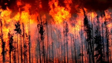 B.C. farmers and ranchers devastated by wildfires to get $20M in financial aid