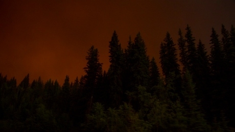 B.C. Wildfire Service warns people to to avoid backcountry in southern B.C. to prevent wildfires