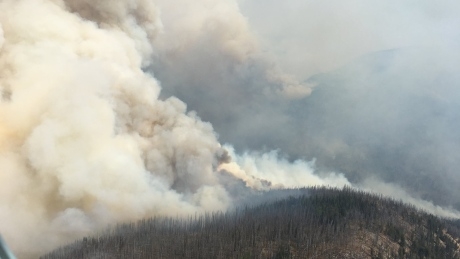 Dozens evacuated from B.C. provincial park after wildfire crosses over from U.S.