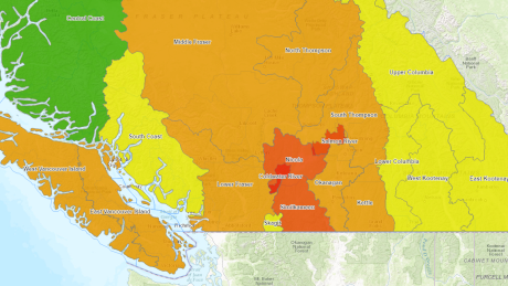 Drought conditions prompt B.C. to push for water conservation in Lower Fraser, Vancouver Island