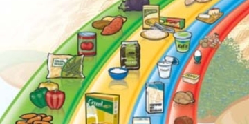 Proposed new food guide tells Canadians to cut back on sugar and eat better fats