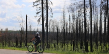 Devastating Fort McMurray wildfire declared out 15 months later
